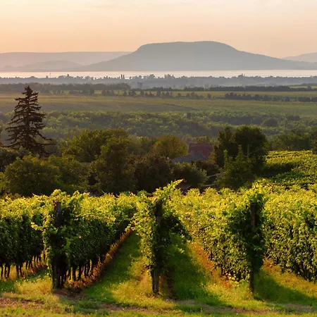 In - Balaton 18168 Balatonboglár