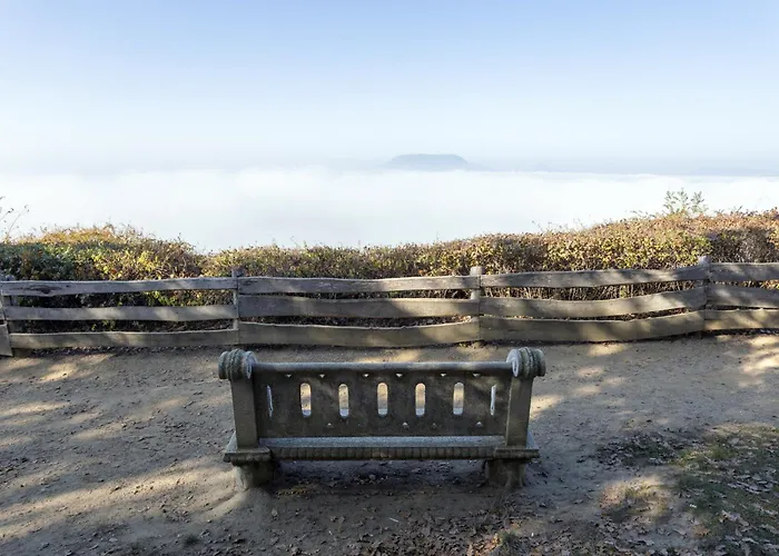 In - Balaton 18168 *