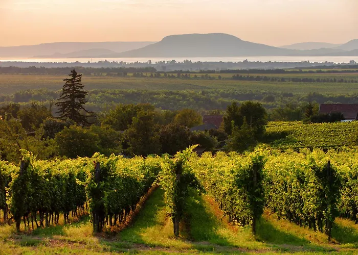 In - Balaton 18168 Balatonboglár